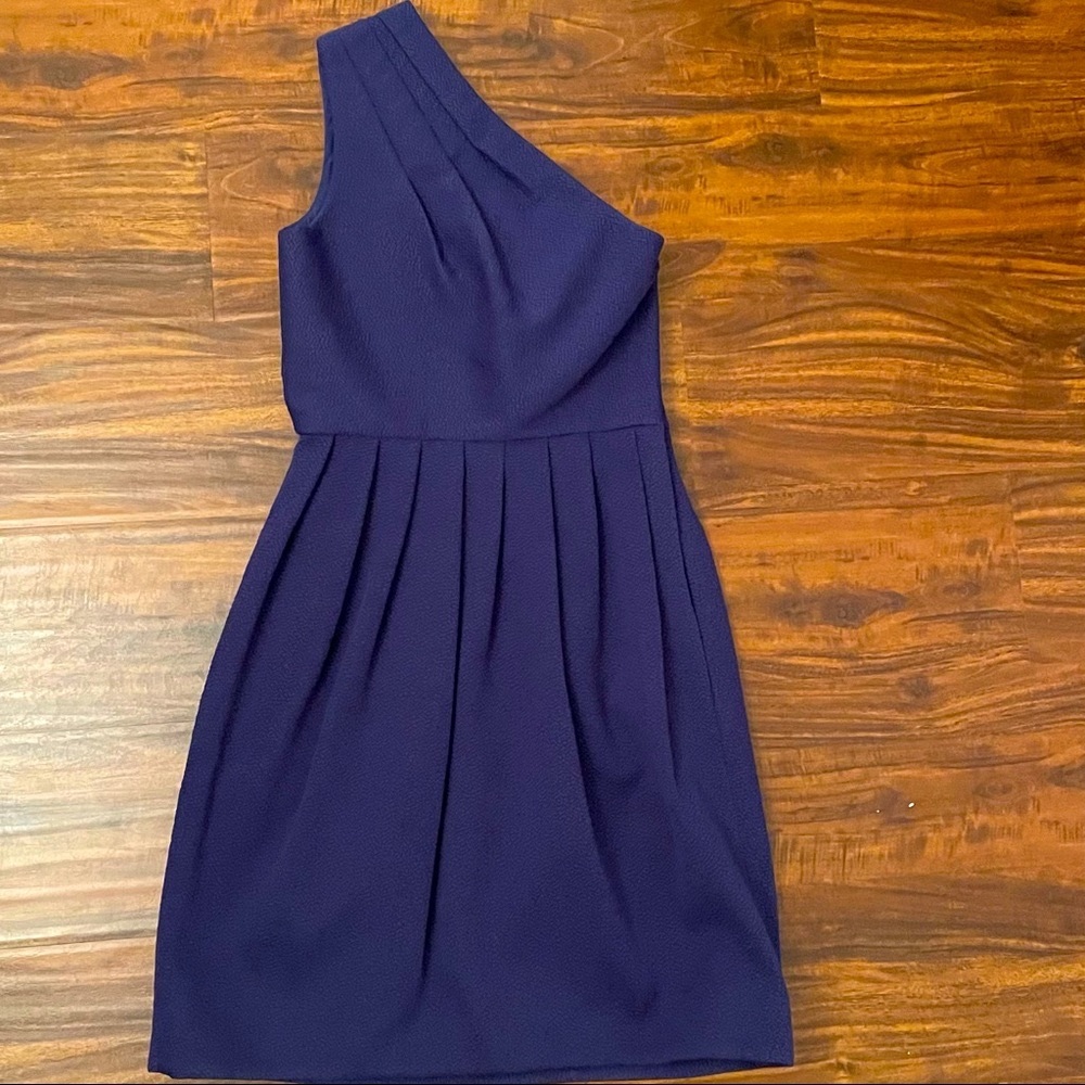 Halston Heritage Purple dress